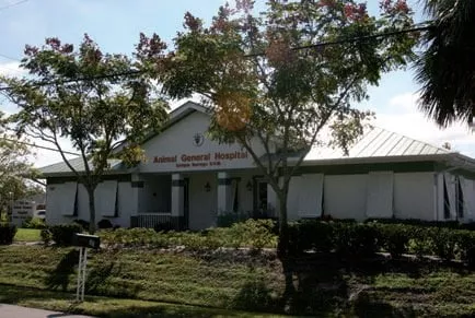 Animal General Hospital, Florida, Port Saint Lucie